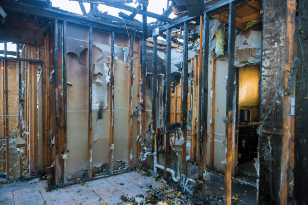 Professional Structural Rebuild technician working in Lorton, VA